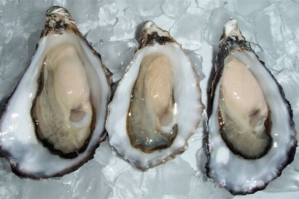 Oyster to improve men's health