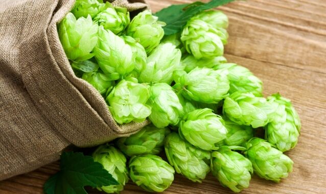 Hop cones help solve the problem of rapid pouring