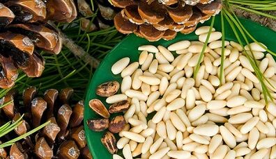 cedar nuts to increase power